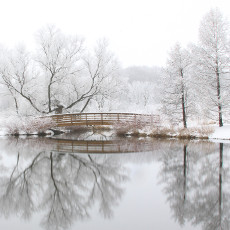 Arboretum Bridge