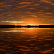 Cooks Bay Reflection