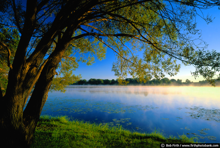 Lake Bavaria Sunrise